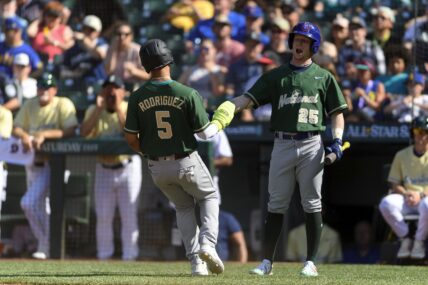 Pittsburgh Pirates, Endy Rodriguez