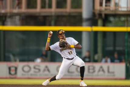 Yordany De Los Santos, Pittsburgh Pirates